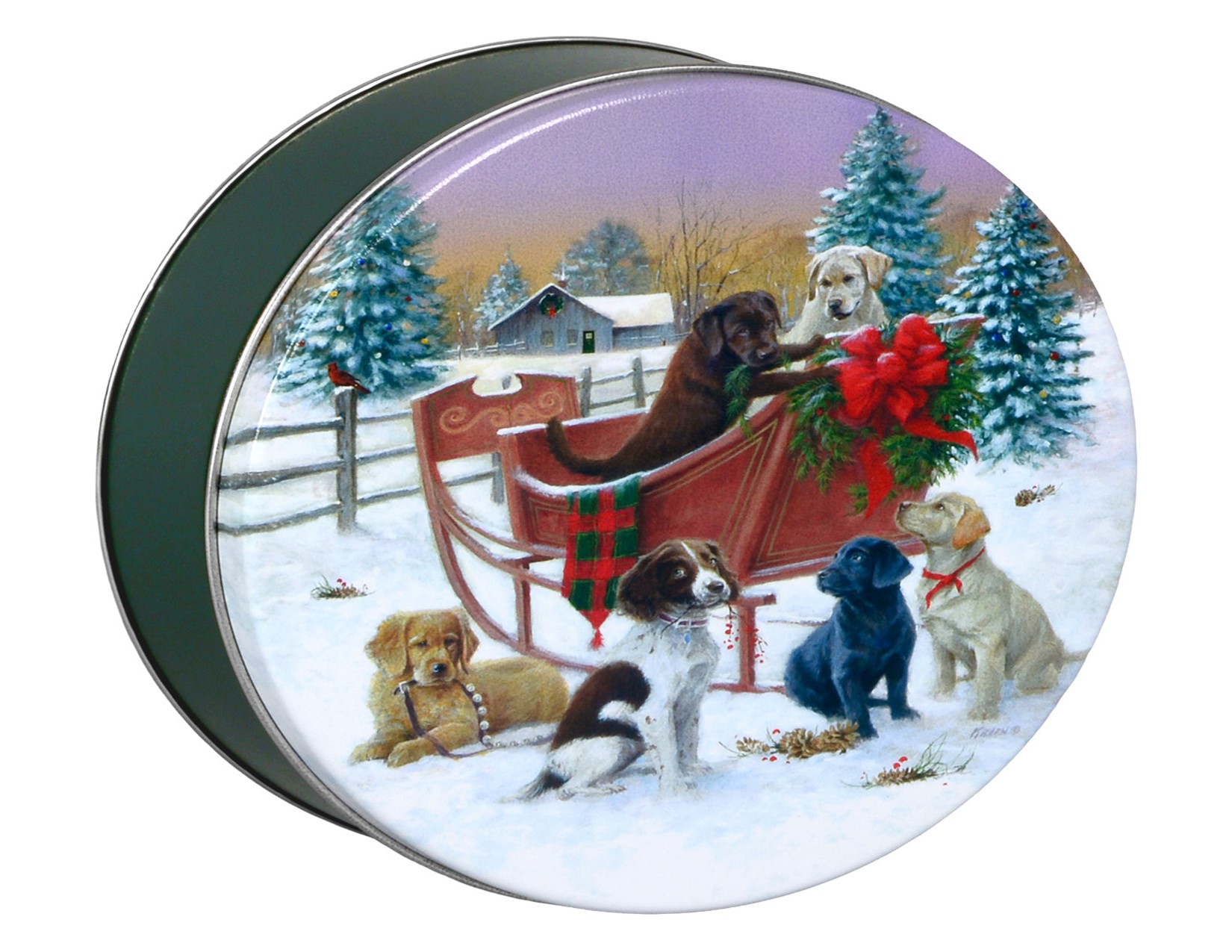 Sleigh Ride Cake Tin